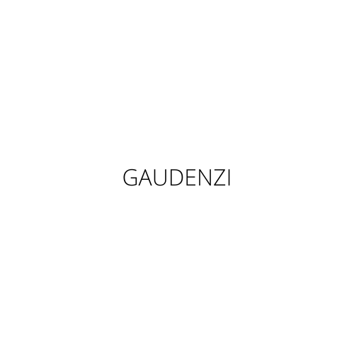 Gaudenzi